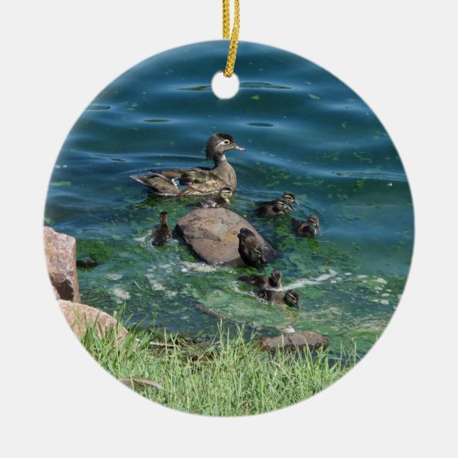 Wood Duck Family Ceramic Tree Decoration (Front)