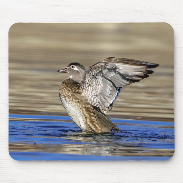 Wood Duck flapping her wings Mouse Pad (Front)