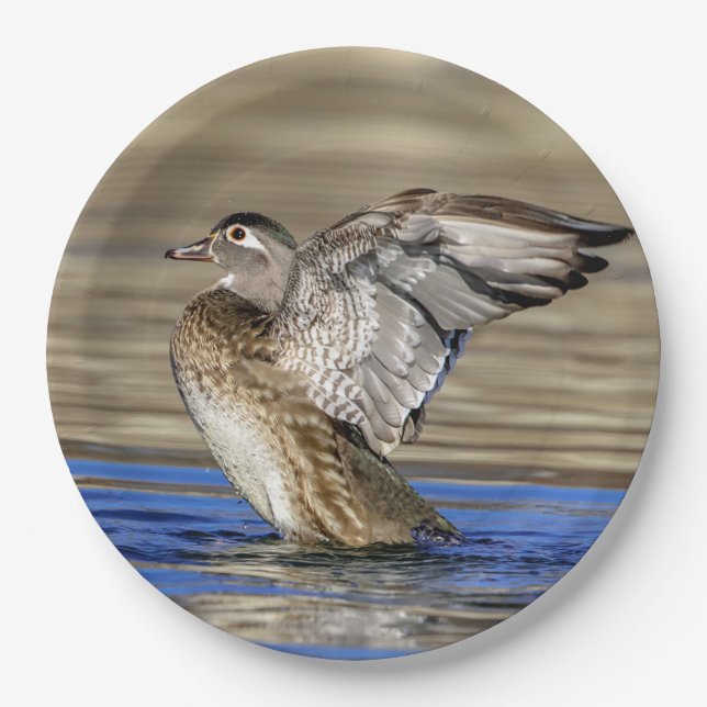 Wood Duck flapping her wings Paper Plate (Front)