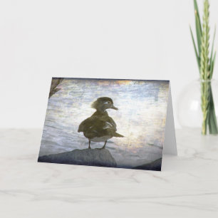 Wood Duck Hen Card