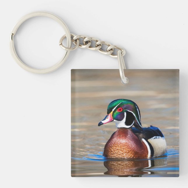 Wood Duck in a pond Key Ring (Front)