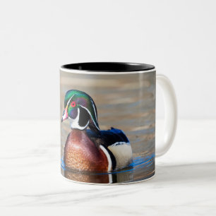 Wood Duck in a pond Two-Tone Coffee Mug