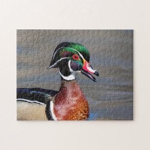 Wood Duck in the Hudson Valley Jigsaw Puzzle
