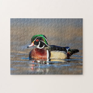 Wood Duck in the Hudson Valley Jigsaw Puzzle