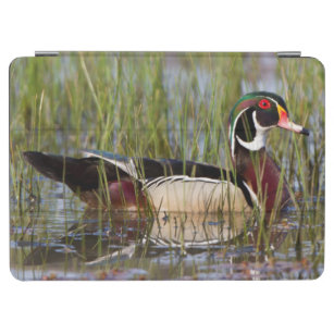 Wood Duck in wetland iPad Air Cover