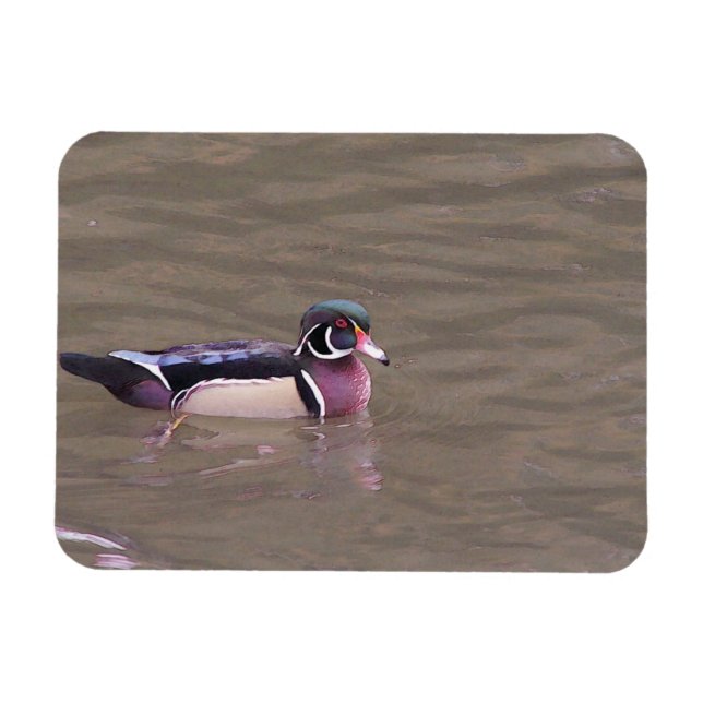 Wood duck magnet (Horizontal)