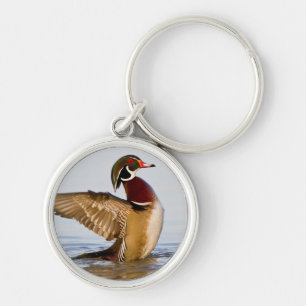 Wood Duck male flapping wings in wetland Key Ring