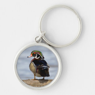Wood Duck male on log in wetland Key Ring