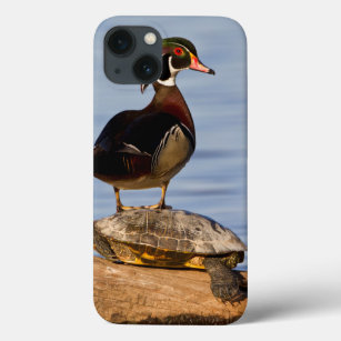 Wood Duck male standing on Red-eared Slider iPhone 13 Case