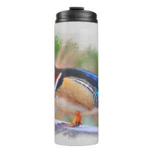Wood duck - male thermal tumbler
