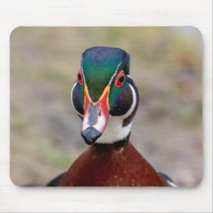 Wood Duck Mouse Pad