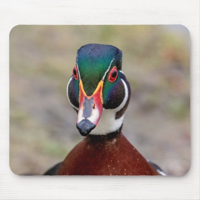 Wood Duck Mouse Pad (Front)