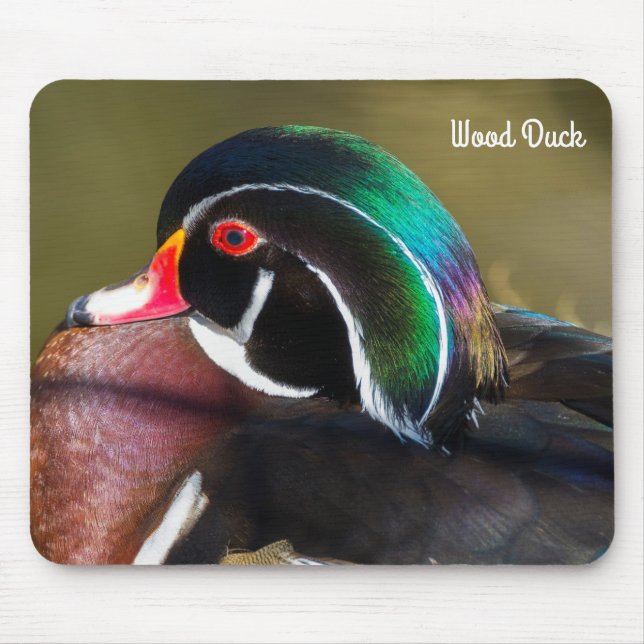 Wood Duck Mouse Pad (Front)