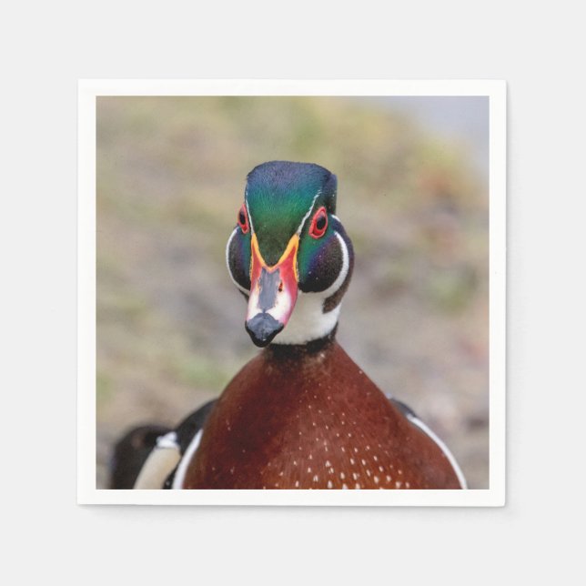 Wood Duck Napkin (Front)