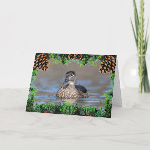 Wood Duck on a Christmas Card