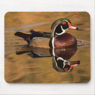 Wood duck on Golden lake Mouse Pad