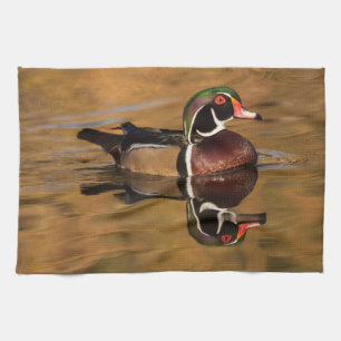 Wood duck on Golden lake Tea Towel