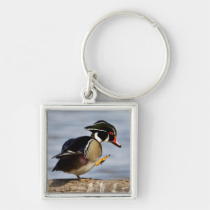 Wood Duck on log in wetland Key Ring