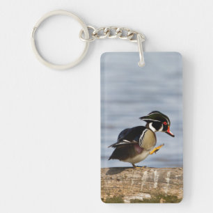 Wood Duck on log in wetland Key Ring