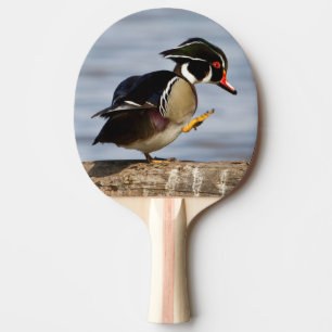 Wood Duck on log in wetland Ping Pong Paddle