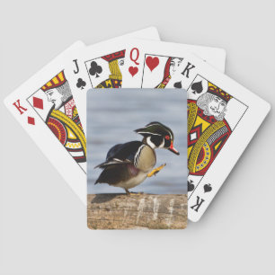 Wood Duck on log in wetland Playing Cards