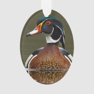 Wood Duck on Water Ornament