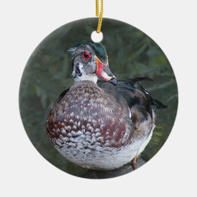 Wood Duck Ornament (Front)
