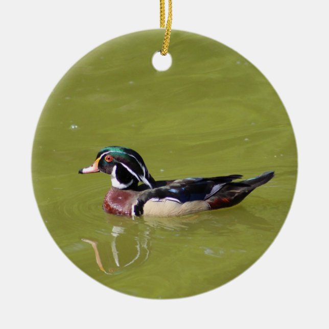 Wood duck ornament (Front)