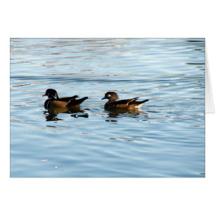 Wood Duck Pair