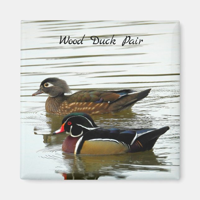 Wood Duck pair Magnet (Front)