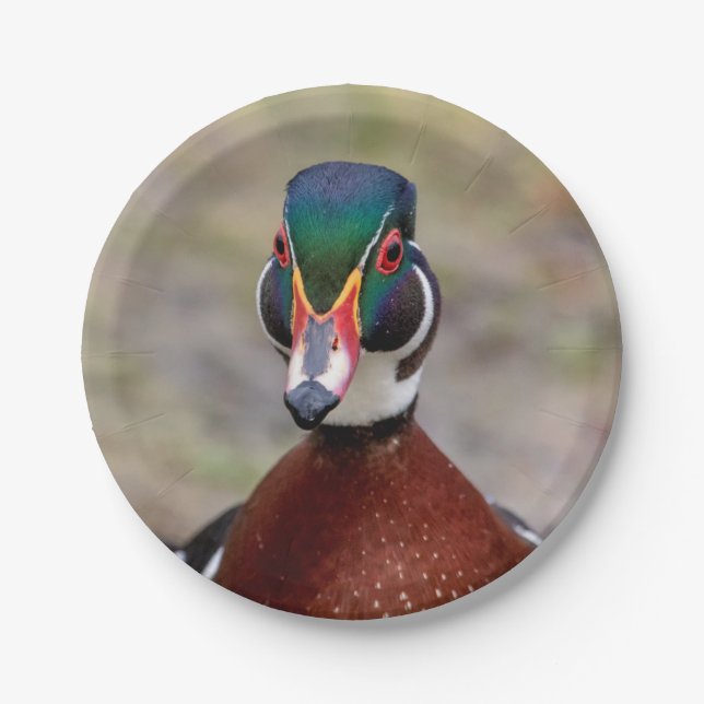 Wood Duck Paper Plate (Front)