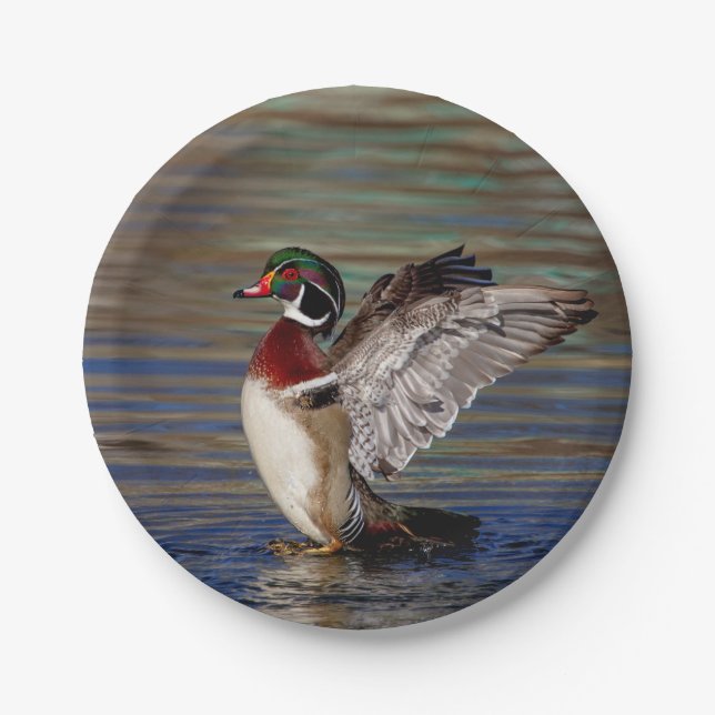Wood Duck Paper Plate (Front)