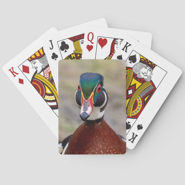 Wood Duck Playing Cards (Back)