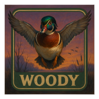 Wood Duck Poster