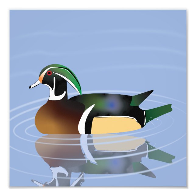 Wood Duck print (Front)