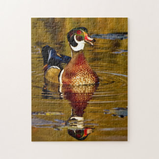Wood Duck Puzzle