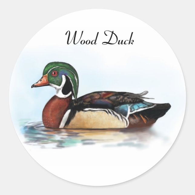 Wood Duck Sticker (Front)