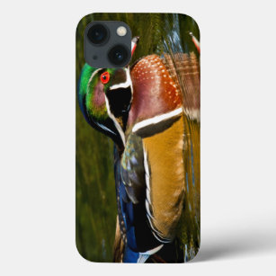 Wood Duck swimming, Crystal Springs Rhododendron iPhone 13 Case