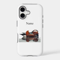 Wood Duck Thunder_Cove