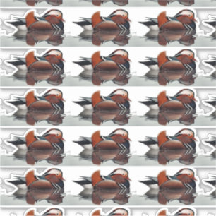 Wood Duck Thunder_Cove