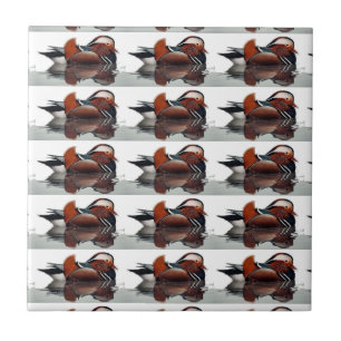 Wood Duck Thunder_Cove Ceramic Tile