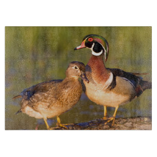 Wood Ducks and female on log in wetland Cutting Board