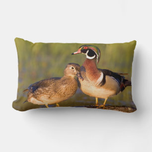 Wood Ducks and female on log in wetland Lumbar Cushion