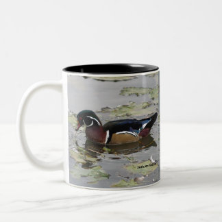 Wood Ducks Mug