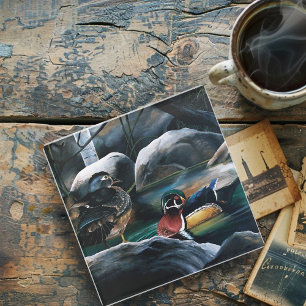 Wood Ducks Pair Pond Nature Wildlife Colourful Glass Coaster