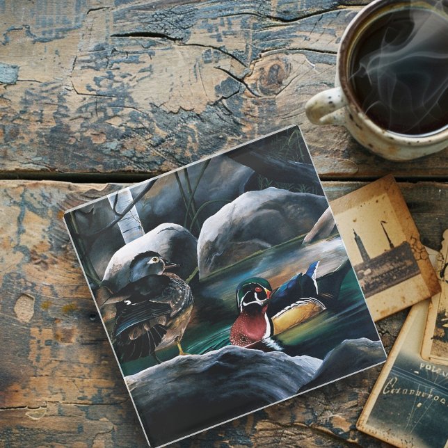Wood Ducks Pair Pond Nature Wildlife Colourful Glass Coaster (Creator Uploaded)