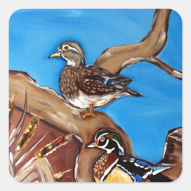WOOD DUCKS SQUARE STICKER (Front)