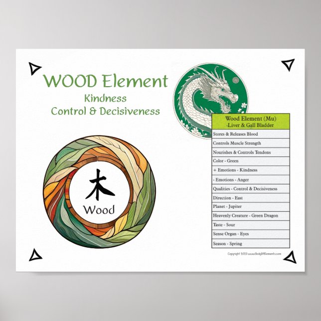 Wood Element Acupuncture Poster (Front)