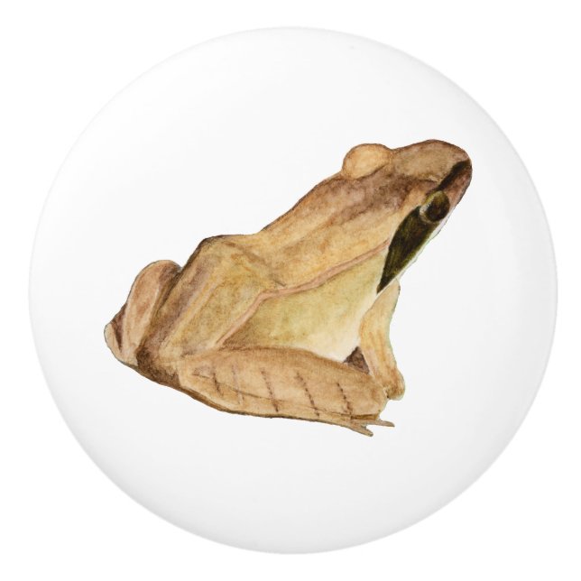Wood Frog Ceramic Knob (Front)