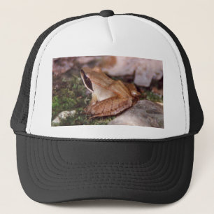 Wood Frog Trucker Hat